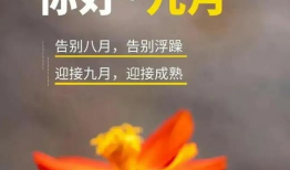 九月再见,告别丰收的季节，迎接新的征程