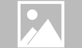 吃瓜小说娱乐圈柳小八,娱乐圈的瓜田小仙女